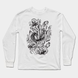 Haeckel's Pitchers Long Sleeve T-Shirt